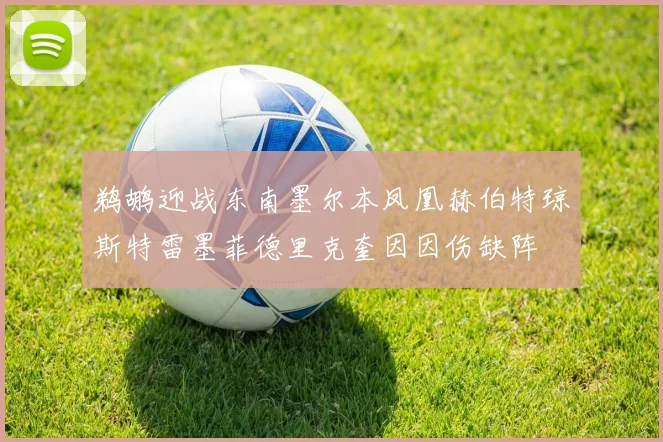鹈鹕迎战东南墨尔本凤凰赫伯特琼斯特雷墨菲德里克奎因因伤缺阵
