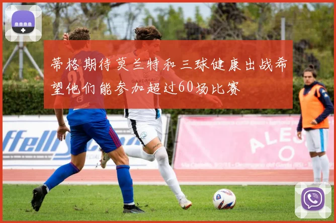蒂格期待莫兰特和三球健康出战希望他们能参加超过60场比赛