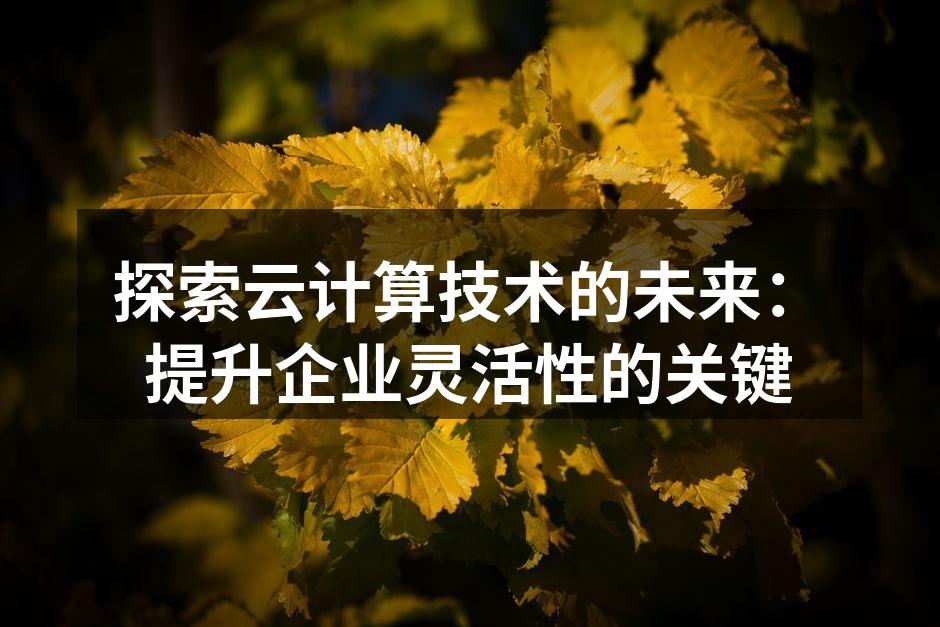探索云计算技术的未来：提升企业灵活性的关