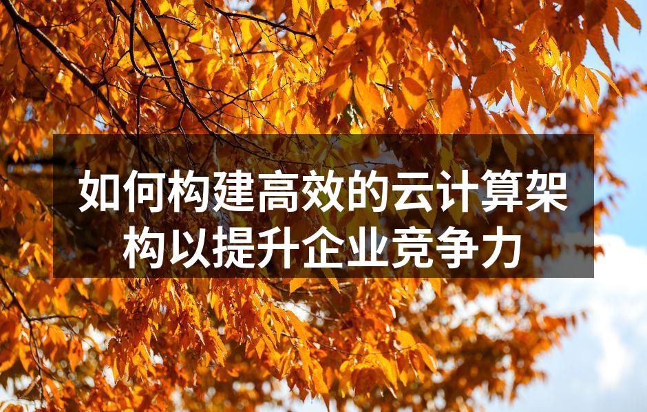 如何构建高效的云计算架构以提升企业竞争力