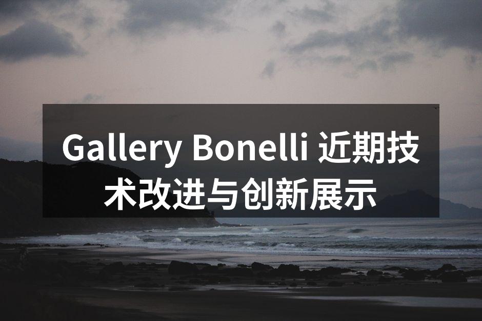 Gallery Bonelli 近期技术